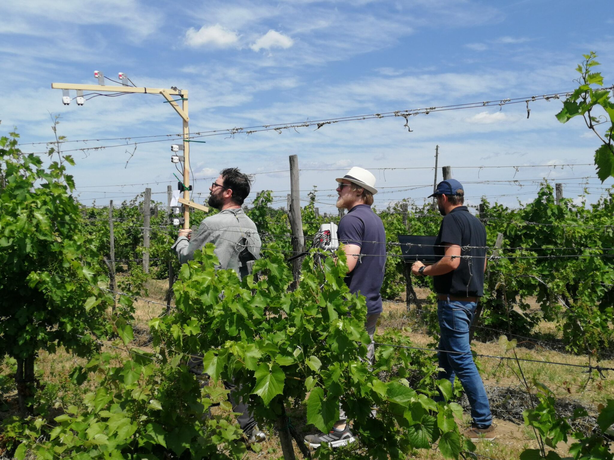 Hungary Living Lab: Assessment of vertical variability in vineyard canopy architecture through RGB-based imaging and spectral vegetation indices (NDVI and PRI)