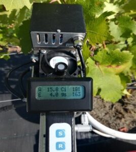 Image-based sensors appear promising for early stress identification as they display plants quickly and nondestructively, recording subtle changes in phenotypic traits. Information derived from images has the potential to parameterize ecophysiological models and predict the impact of environmental factors on plants. In this context, artificial intelligence (AI) is becoming a key factor for smart irrigation, providing sustainable solutions to viticulturists facing the challenge of increasing yields and quality while conserving water.